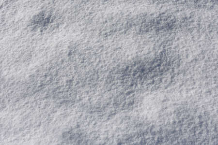 Contrasting shadow on the white snowの写真素材