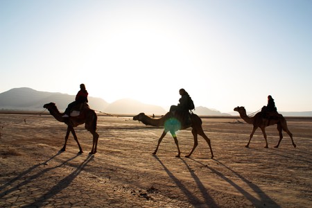 Three people riding Camels in the dessert during sunsetの写真素材