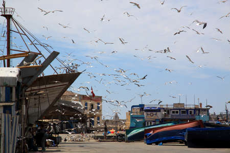 Beautiful old port in the city Essaouira, morocco, のeditorial素材