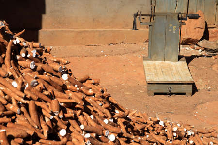 Pile of manioc for sale by kilo on the african marketの写真素材