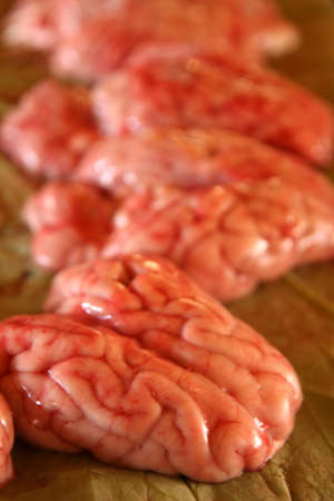 Fresh brain on sale on the market in Phnom Penh, Cambodia