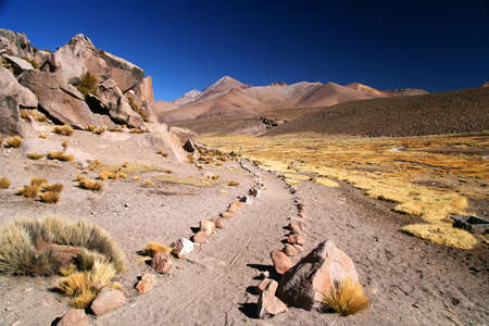 Walking path in the Chilean Lauca National Parkの写真素材