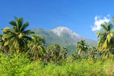 Volcano Mount Ile Api on the Indonesian island Flores, Indonesiaの写真素材