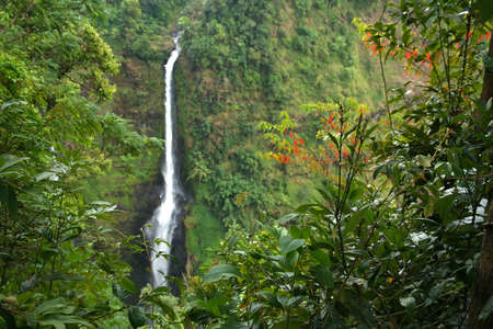 Beautiful Tad Fan waterfall in the dense jungle on the Bolaven Plateau in Laosの写真素材
