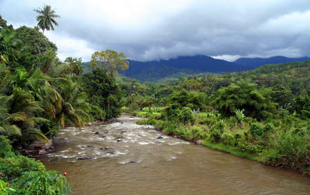 River flowing through dense tropical jungle on the Indonesian Sumatra island