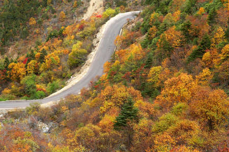Mountain road during autumn in the mountains of Yunnan, Chinaの写真素材
