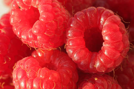 Close up of a ready to eat raspberries