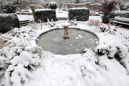 Small frozen pond in a rookery in Streatham in winter, London, england