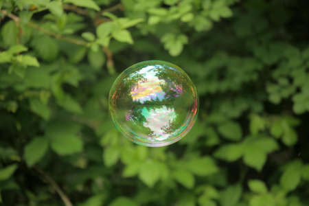 Single soap bubble floating in the airの写真素材