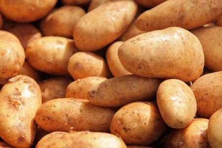 A pile of potatoes on sale on a Brixton farmers marketの写真素材