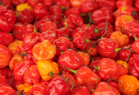 Small red chili peppers on sale on a farmers marketの写真素材