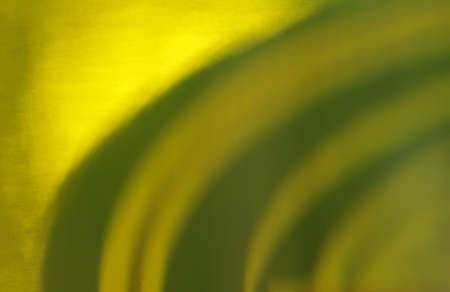 Texture of a green beer bottleの写真素材