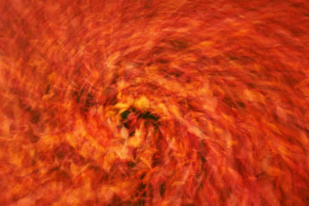 Abstract photo of multicoloured fallen leaves on the ground in the park in autumnの写真素材