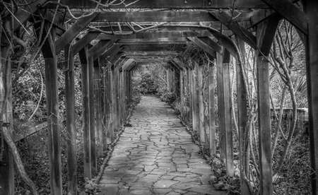 Stony pathway in a public park   Rookery   in Streatham in London, autumnの写真素材