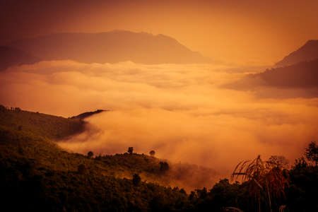 Dense clouds at the bottom of the valley in mountains of northern Laos 
