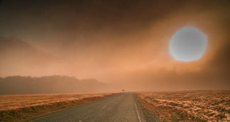 Beautiful road towards the New Zealand Alpsの写真素材