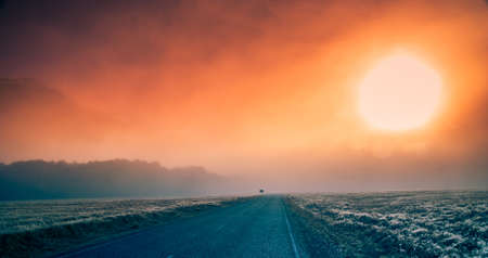 Beautiful road towards the New Zealand Alpsの写真素材
