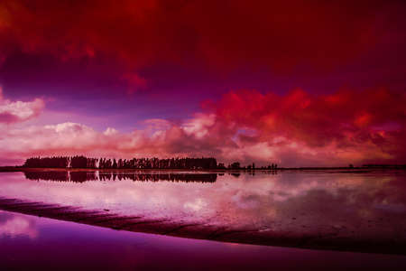 Beautiful coastline of New Zealand North Island during sunsetの写真素材
