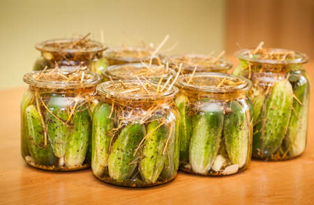 Cucumbers ready to be turned into pickles の写真素材