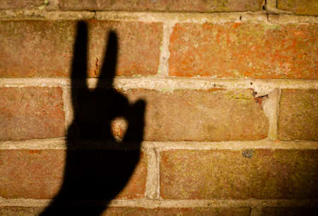 Shadow of a man s palm looking like a rabbit headの写真素材