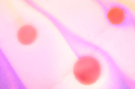 Abstract pink texture of a plastic flip flop - close up shotの写真素材