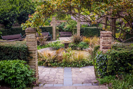 Picture of a beautiful garden in Streatham, Londonの写真素材