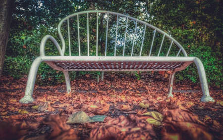 Empty bench in the park in autumnの写真素材