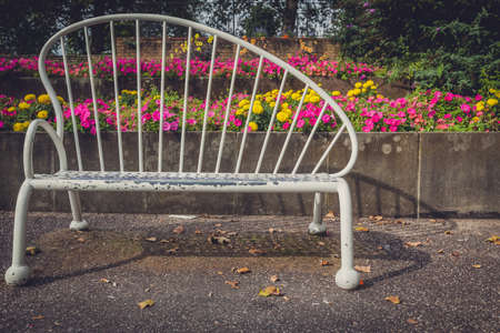 Empty bench in the park in autumnの写真素材