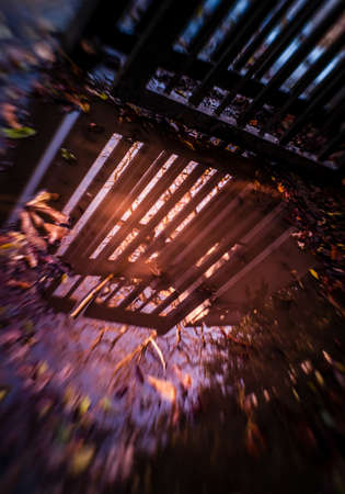 Gates to the park reflected in the puddle in autumnの写真素材