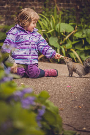 Squirrel being fed a nut by a little girl in a parkの写真素材