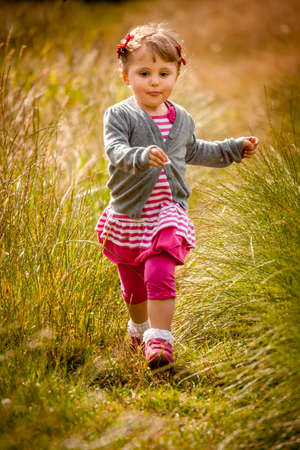 Baby girl walking among the high grass on a meadow in autumnの写真素材
