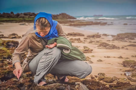 Woman collecting shells on the beach in Queshm, Iranの写真素材