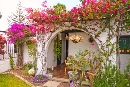 Beautiful flowers at the entrance to one of the homes in Maspalomas in Gran Canaria Canary Islands