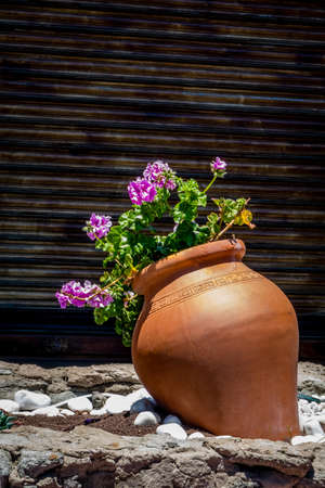 Large flower pot in front of home in Gran Canaria Spainの写真素材