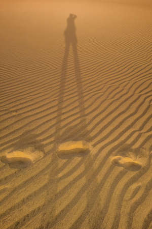 Shadow of a photographer taking picture of the sand dunes in  the Natural Reserve of Dunes of...