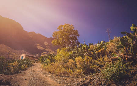 Gravel road leading to a small village home  looking abandoned  in Gran Canaria Spain