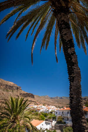 Vertical picture of a beautiful small town of Fataga in Gran Canaria Canary Islands Spainの写真素材
