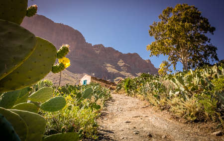 Gravel road leading to a small village home  looking abandoned  in Gran Canaria Spainの写真素材