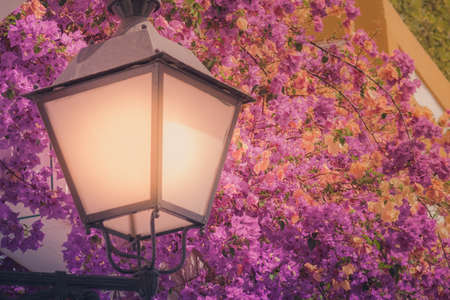 Streetlamp and colorful flowers growing on one of the homes in Puerto de Mogan Grand Canaria Spainの写真素材
