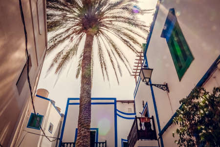 Tall palmtree among the homes of Puerto de Mogan a small fishing port in Gran Canaria Canary Islands Spainの写真素材