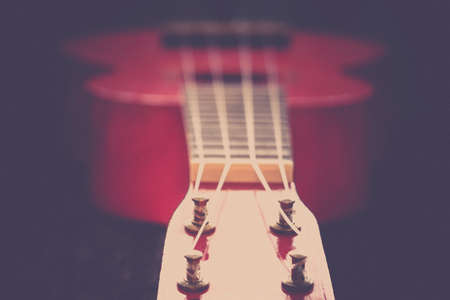 Close up of an ukelele   traditional hawaiian insturmentの写真素材
