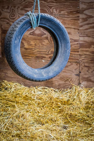 Old disused tyre hanging on a rope in a barn on a farmの写真素材