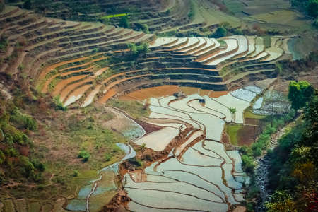 Green terraced rice fields on the mountain slopes in Nepalの写真素材