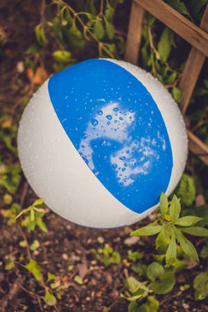 Big colorful inflatable ball wet after rain on the ground in the gardenの写真素材