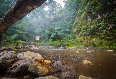 Bubbling water of the hot springs in Caldeira Velha,  Sao Miguel Island, Azores, Portugal