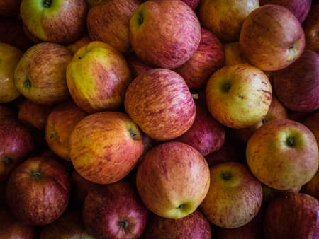 Fresh tasty delicious yellow and red apples for sale on the market in Ponta Delgada in Sao Miguel, Azores, Portugalの写真素材