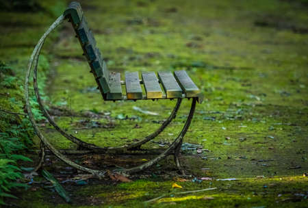 Empty bench in a Terra Nostra Park in spring, Azores