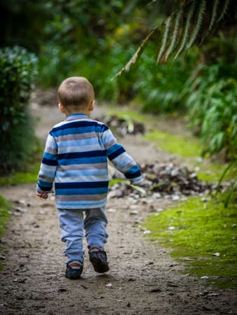 Small boy walking on a path in The Terra Nostra Garden in furnas,  on Sao Miguel island, Azores,...