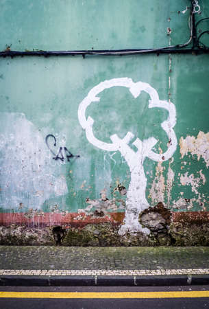 Graffiti art on the wall of an old home in Ponta Delgada, Azores, Portugalの写真素材