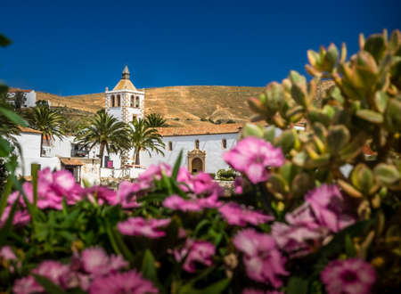 Purple flowers in front of the Cathedral of St. Mary in Betancuria, an old capital of Fuerteventura, Canary islands, Spainの写真素材
